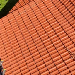 Nowy, pomarańczowy dach z dachówki ceramicznej, widok z góry, drabina w lewym dolnym rogu, sąsiedni budynek i zielona roślinność w tle.