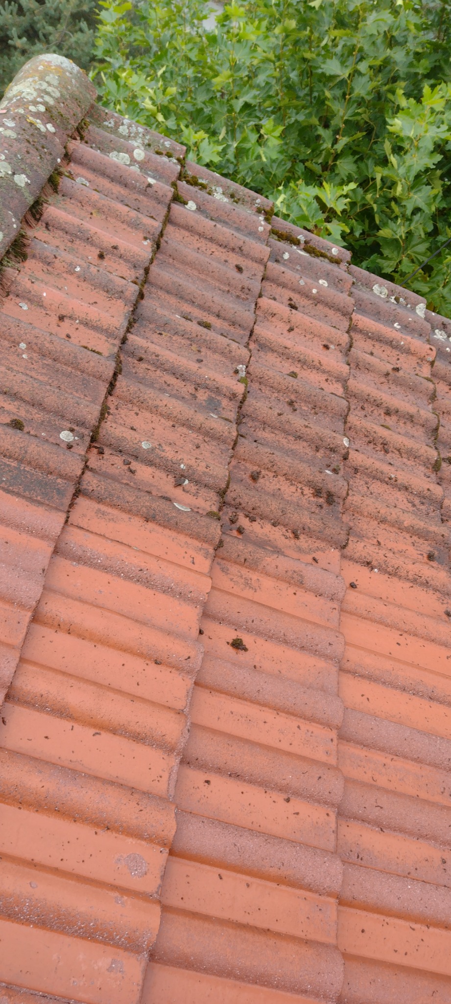 Częściowo umyty dach z czerwonej dachówki, widoczny kontrast między czystą a zabrudzoną powierzchnią, mech i porosty na krawędziach dachówek.