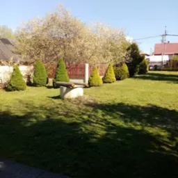 Starannie przystrzyżony trawnik z rzędem stożkowych iglak&oacute;w i kwitnącym drzewem w tle, studnia z drewnianym elementem na środku trawnika.