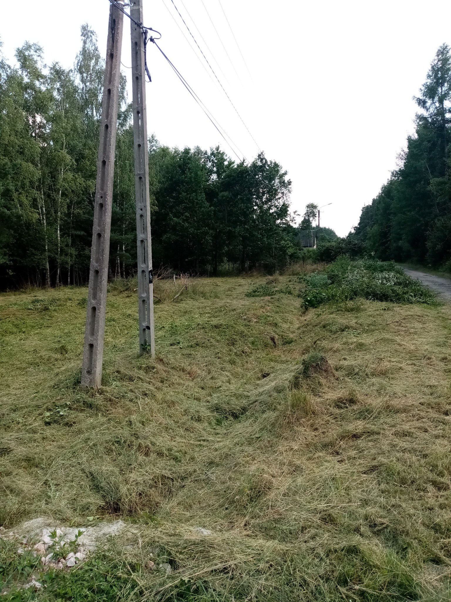Świeżo skoszona trawa leży na ziemi, widoczne dwa betonowe słupy energetyczne i fragment drogi leśnej w tle.
