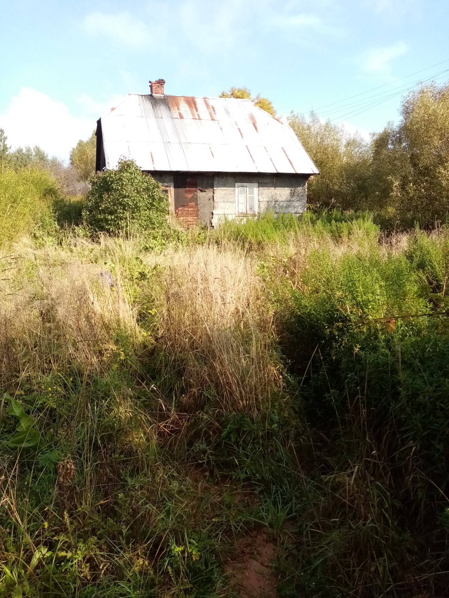 Zarośnięty dom z blachy falistej, wysoka trawa i krzewy zasłaniają wejście, widoczny komin z cegły i małe okno.
