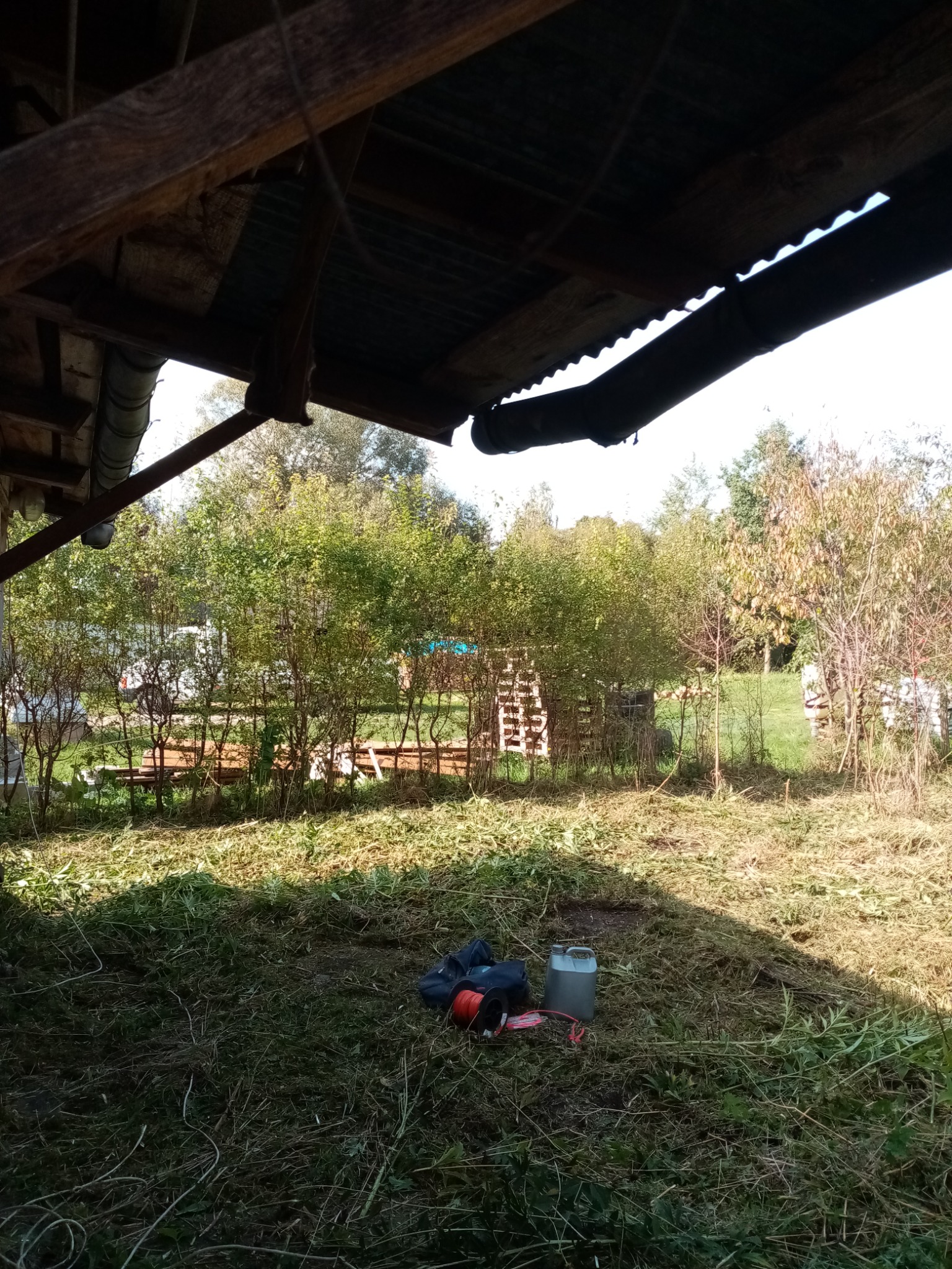 Trawa po koszeniu pod zadaszeniem, w tle drzewa i ogrodzenie, widoczne narzędzia ogrodnicze i kanister