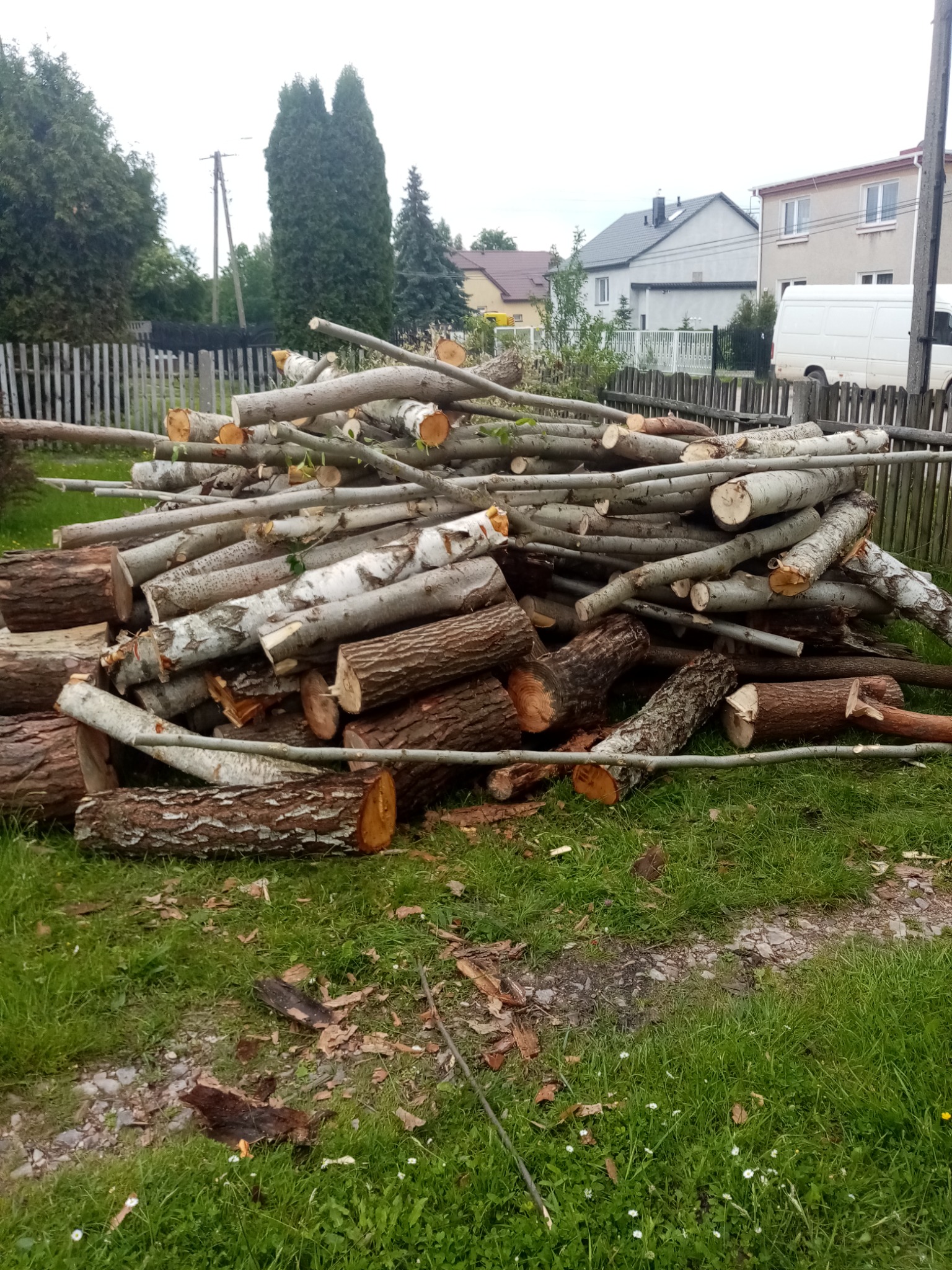 Stos pociętych pni i gałęzi drzewa na trawie, widoczne ślady cięcia, w tle płot, domy i biały samochód dostawczy.