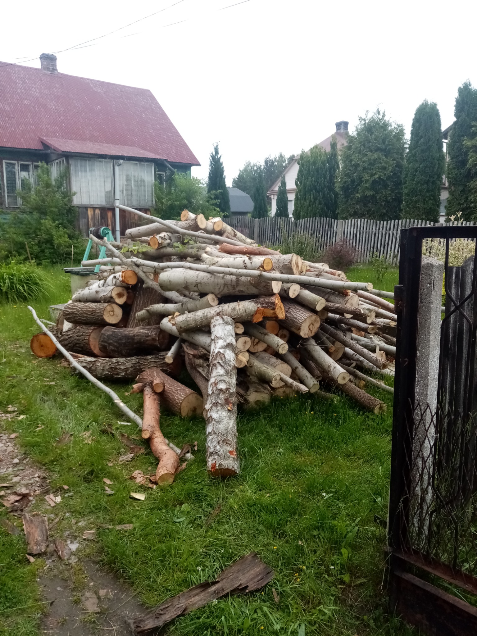 Stos pociętych kłód i gałęzi drzew leżący na trawie przed domem z czerwonym dachem i drewnianym płotem w tle, widok zza metalowej furtki.