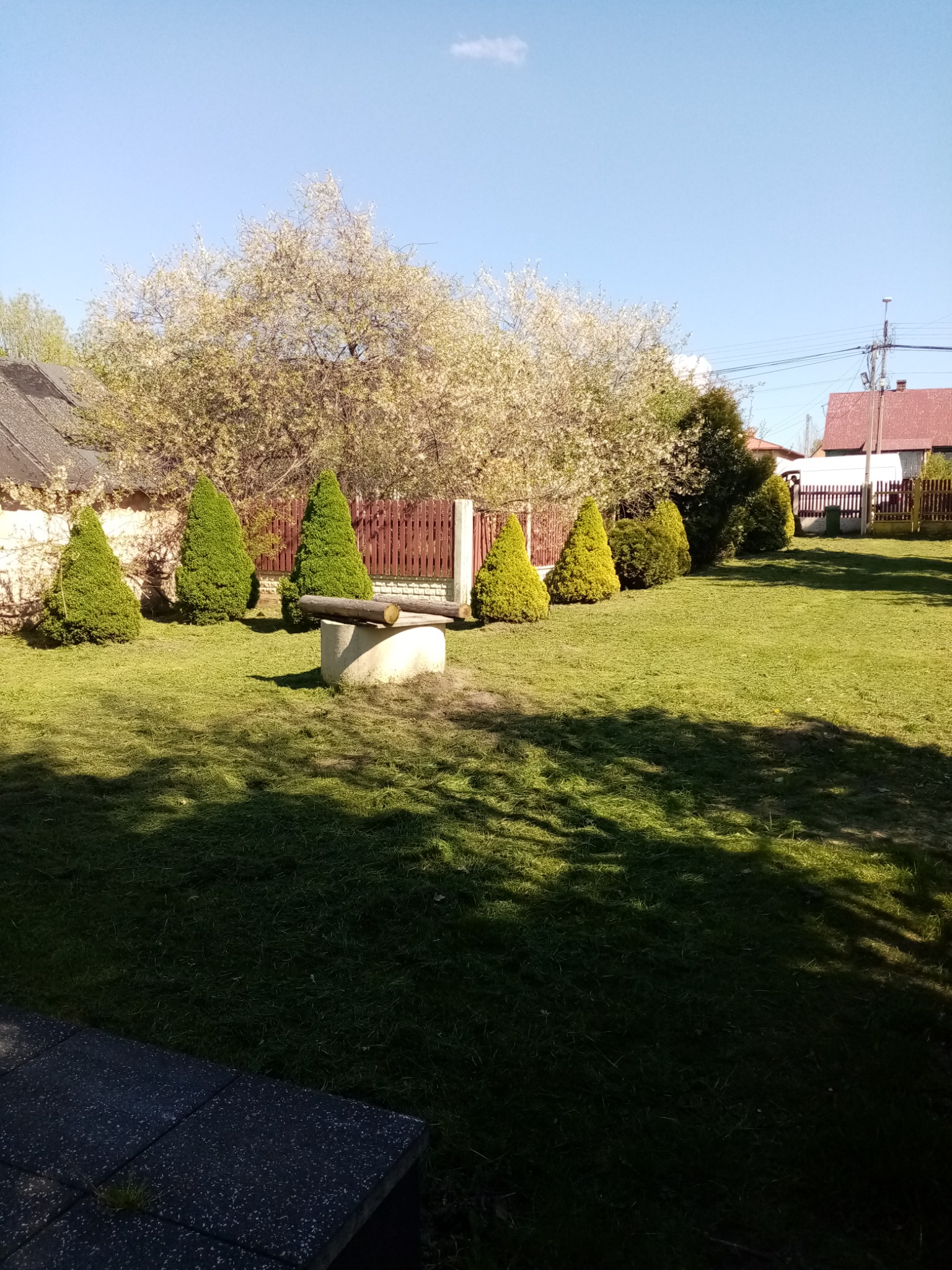 Starannie przystrzyżony trawnik z rzędem stożkowych iglaków i kwitnącym drzewem w tle, studnia z drewnianym elementem na środku trawnika.