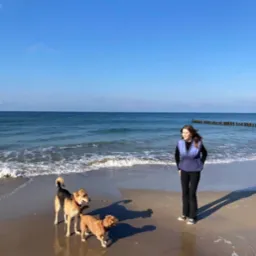 Kobieta w ciemnych spodniach i fioletowej kamizelce spaceruje z dwoma psami na plaży w słoneczny dzień, widok na morze i drewniane falochrony w tle.