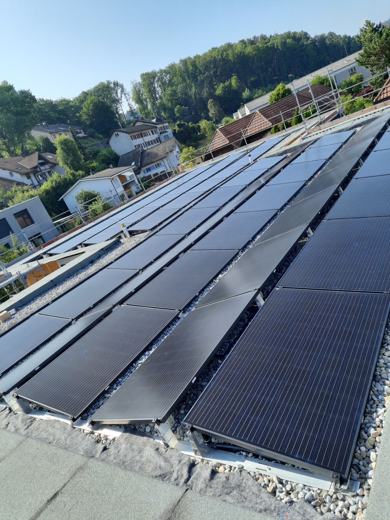 Instalacja fotowoltaiczna na płaskim dachu pokrytym papą, z widocznymi panelami ułożonymi w rzędach, oddzielonymi drobnymi kamieniami i elementami montażowymi, w tle zabudowa jednorodzinna i zieleń.