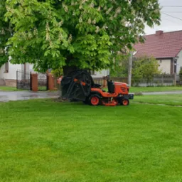 Pomarańczowy traktorek Kubota z koszem na trawę zaparkowany pod kwitnącym kasztanowcem na trawniku przed domem.