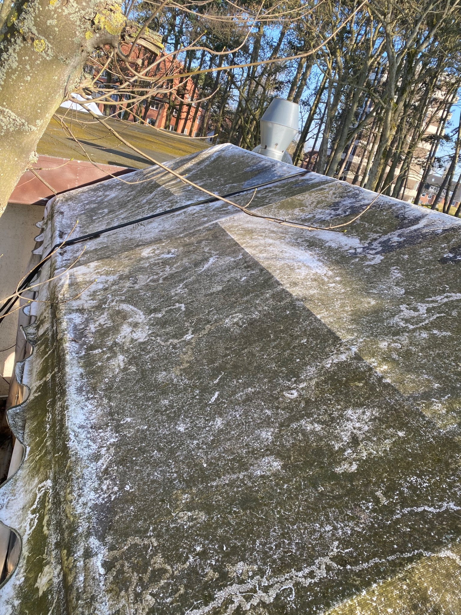 Zabrudzony dach z widocznymi śladami mchu i zanieczyszczeń, fragment drzewa w lewym górnym rogu, w tle drzewa i budynek.