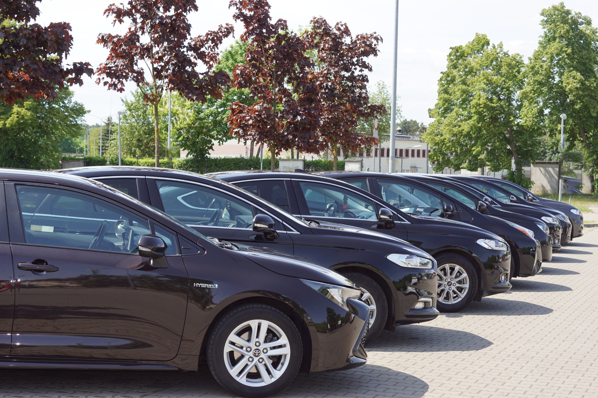 Rząd ciemnych samochodów osobowych, w tym jeden model hybrydowy, zaparkowanych na brukowanym parkingu w słoneczny dzień.