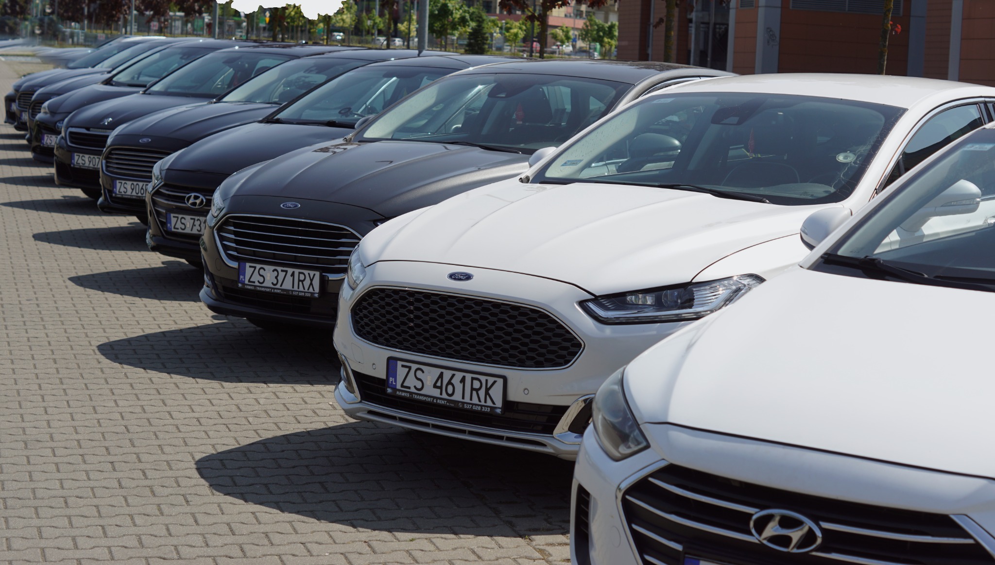Flota samochodów osobowych, głównie Ford i Hyundai, zaparkowana w Szczecinie, gotowa do wynajmu lub świadczenia usług transportowych. Widoczne numery rejestracyjne z bliska.