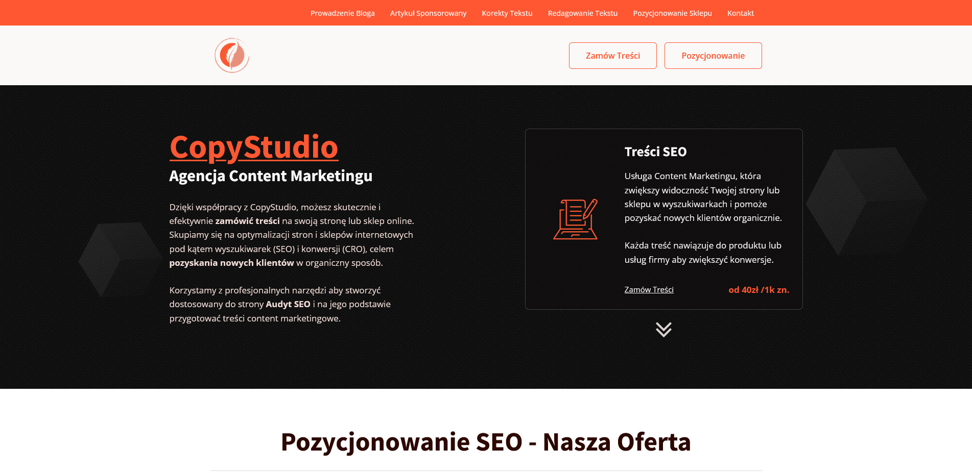 Strona internetowa agencji content marketingowej copystudio.pl, prezentująca ofertę treści SEO i pozycjonowania, z logo firmy w lewym górnym rogu.