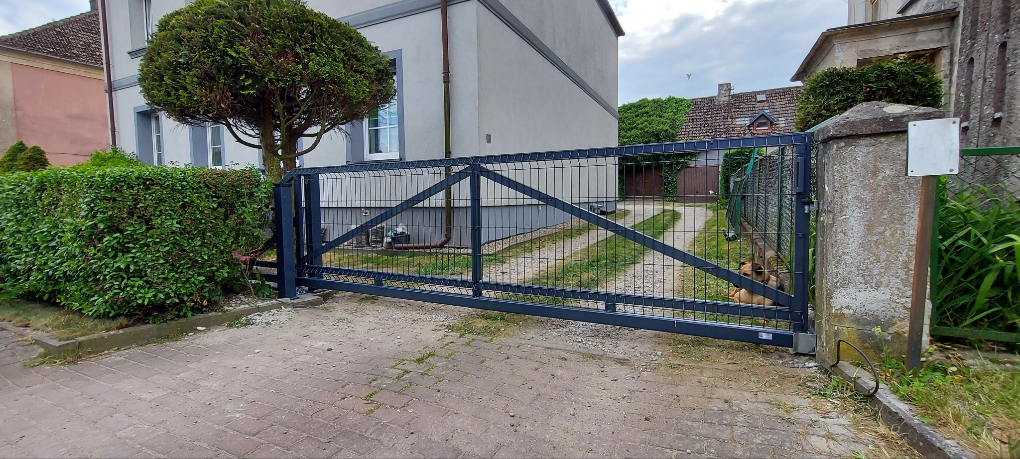 Ciemnoszara brama przesuwna z paneli ogrodzeniowych, widok z zewnątrz posesji na podjazd, w tle budynek mieszkalny i starannie przycięte krzewy, w rogu bramy leży pies.