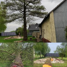 Sadzenie drzew i krzewów Lubliniec