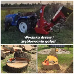 Kolaż zdjęć przedstawiający proces usuwania drzew: traktor z rębakiem w tle, stos pociętych pni z piłą łańcuchową Stihl na wierzchu, oraz pień po ściętym drzewie z piłą i narzędziami.