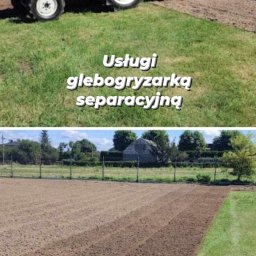 Wycinka drzew Koszęcin 4