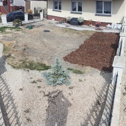 Sadzenie drzew i krzew&oacute;w Lubliniec