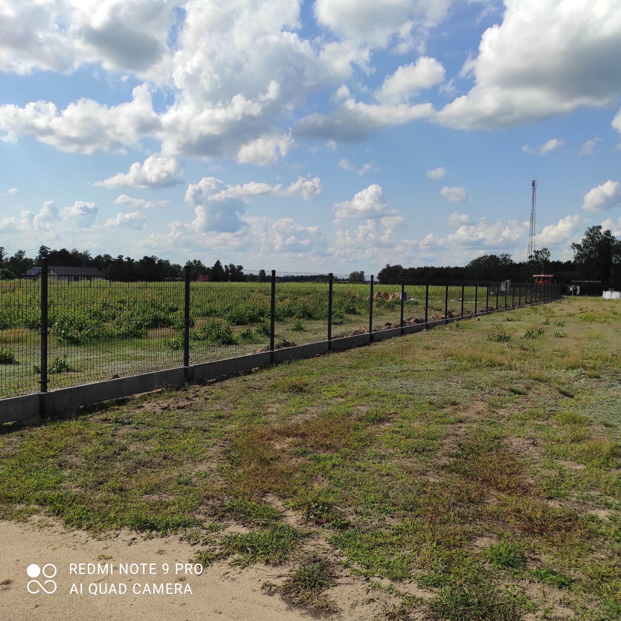 Długie ogrodzenie panelowe z podmurówką betonową na rozległym terenie zielonym, widok w słoneczny dzień z błękitnym niebem i chmurami.