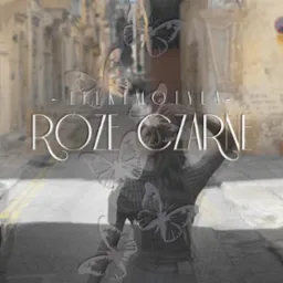 Grafika na witrynie sklepowej z motywem motyli i napisem 'Efekty Motyla - Róże Czarne', na tle uliczki miejskiej.