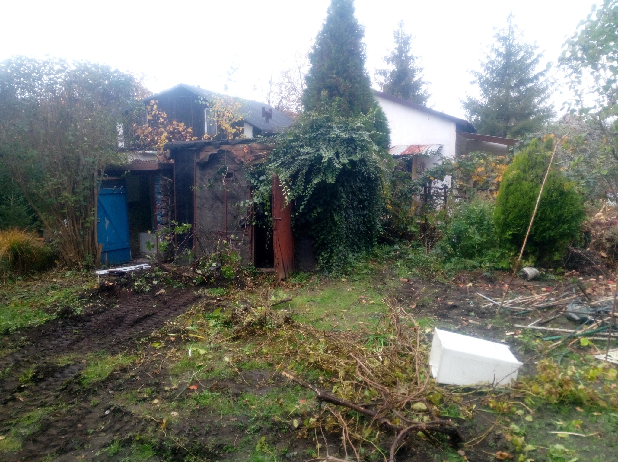 Teren po wycince drzew i krzewów, widoczne ślady opon na ziemi, pozostałości rozbiórki starego budynku gospodarczego z niebieskimi drzwiami i zarośniętą ścianą, biały pojemnik styropianowy leżący...