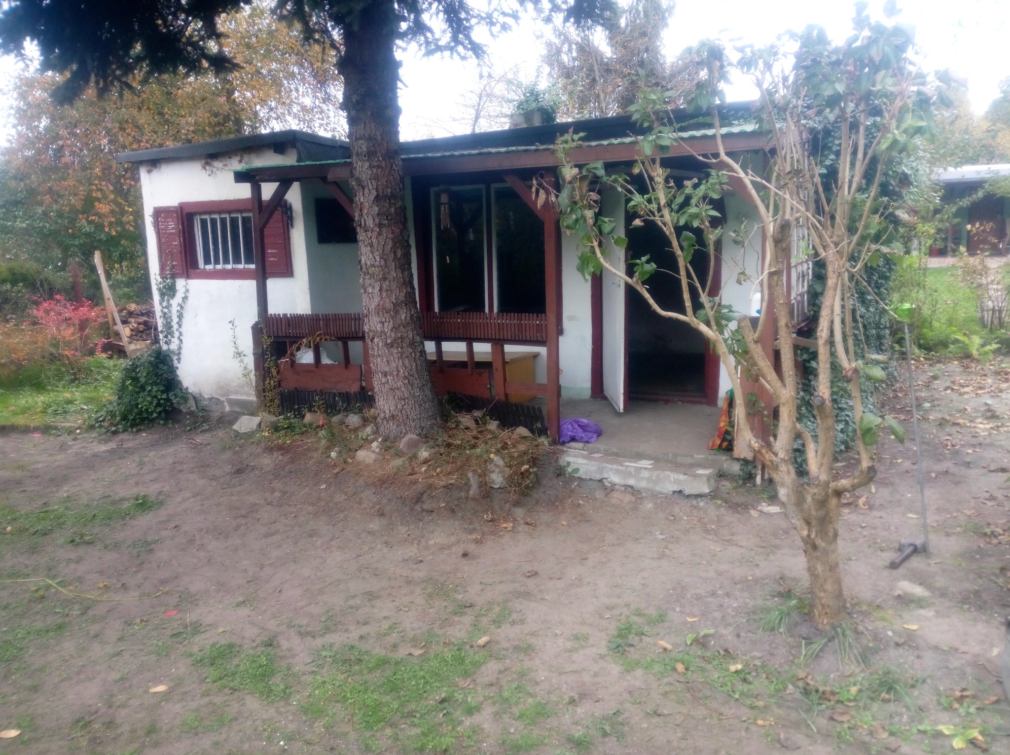 Niski, biały budynek z drewnianą werandą, częściowo zasłonięty przez drzewo, z widocznymi brązowymi okiennicami i fragmentem ogrodu.