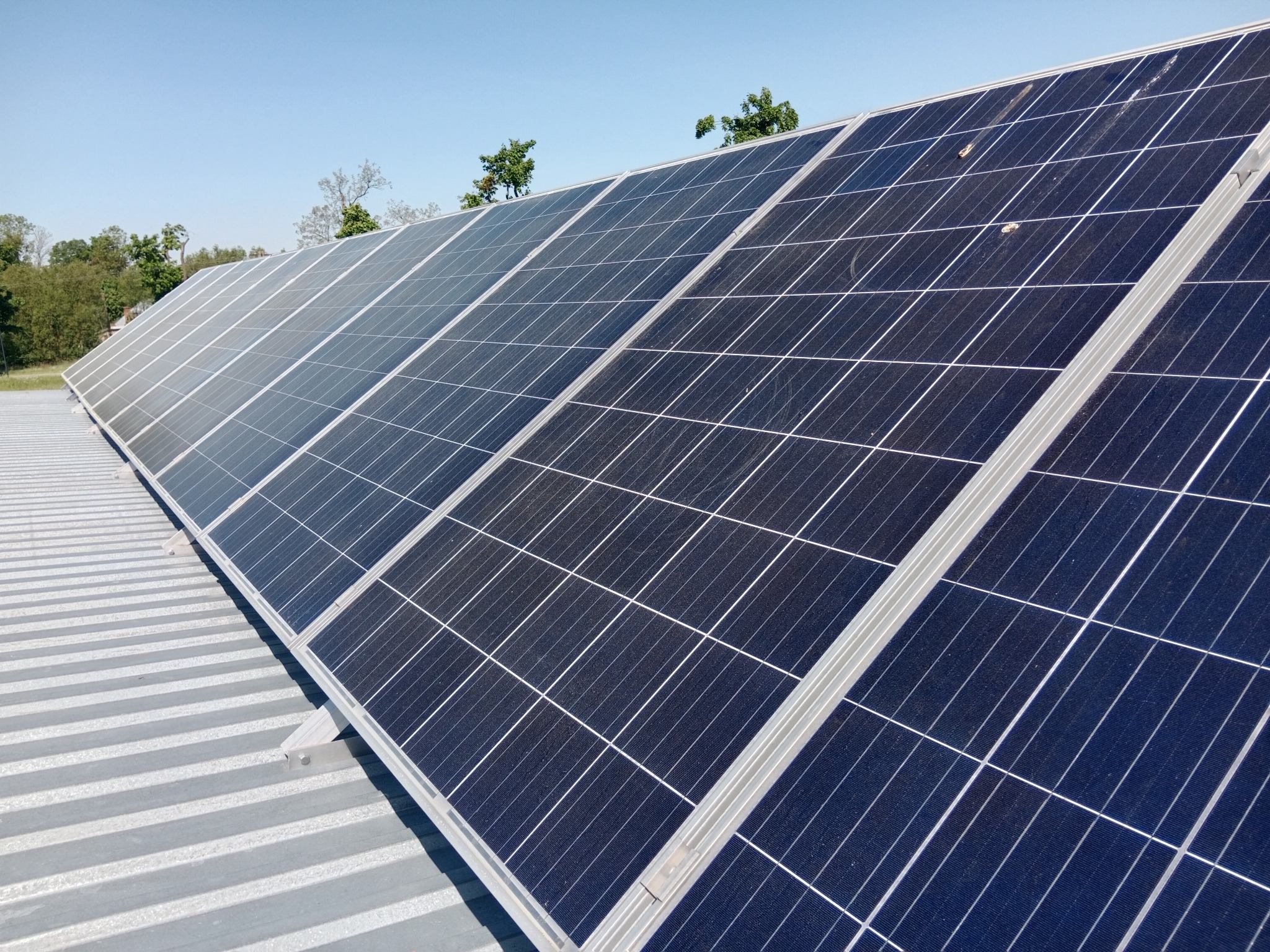 Rząd paneli słonecznych zamontowanych na blaszanym dachu, widoczne ślady po ptasich odchodach na niektórych panelach.