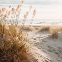 Beżowe trawy na piaszczystej wydmie z widokiem na morze i zachmurzone niebo w tle, w ciepłym świetle.