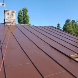 Ciemnobrązowy dach z blachy na domu jednorodzinnym, widoczny komin z anteną i liną zabezpieczającą, drzewa w tle, błękitne niebo.