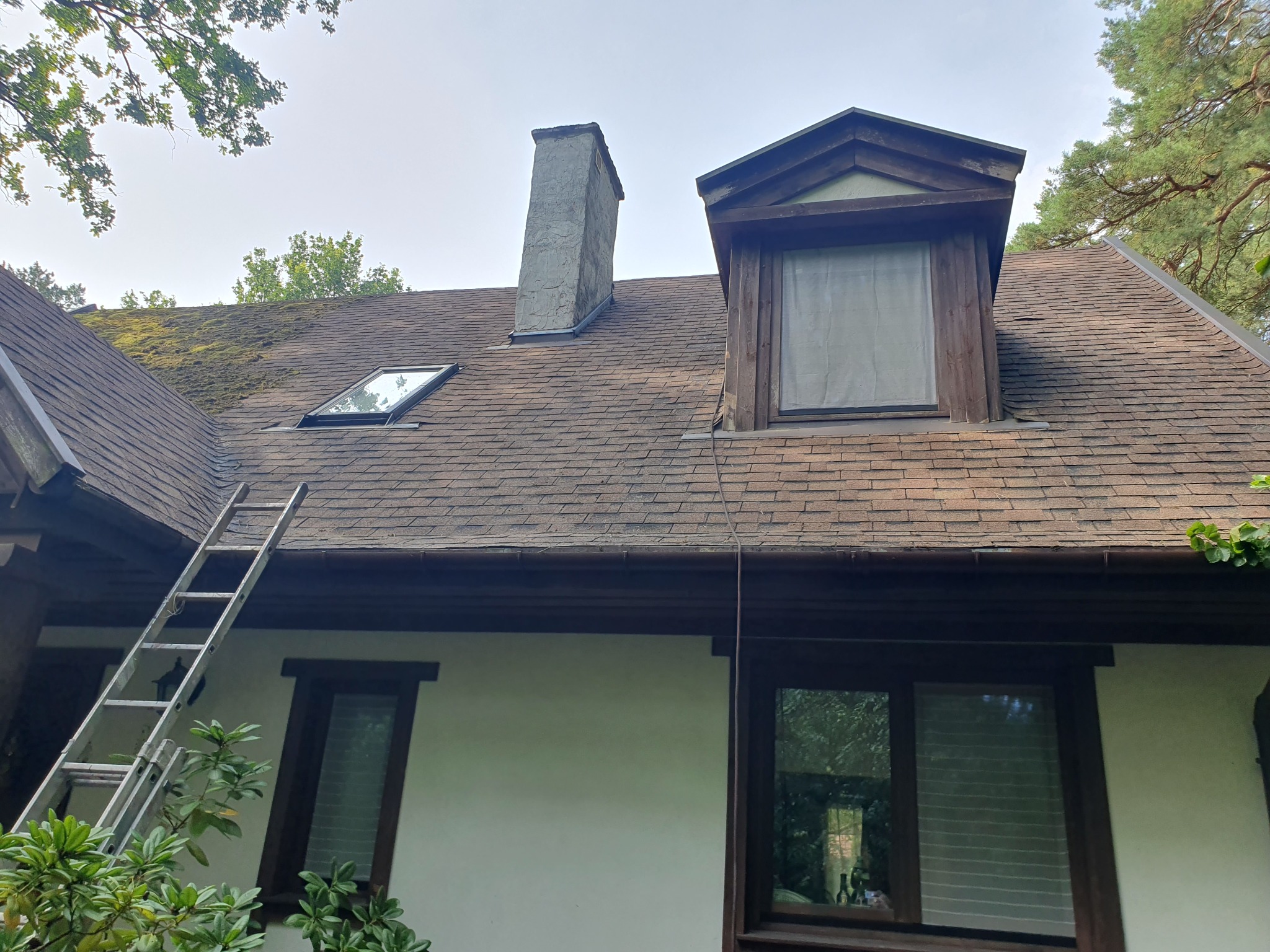 Dom z brązowym dachem pokrytym mchem, z kominem i oknem dachowym, drabina oparta o rynnę.