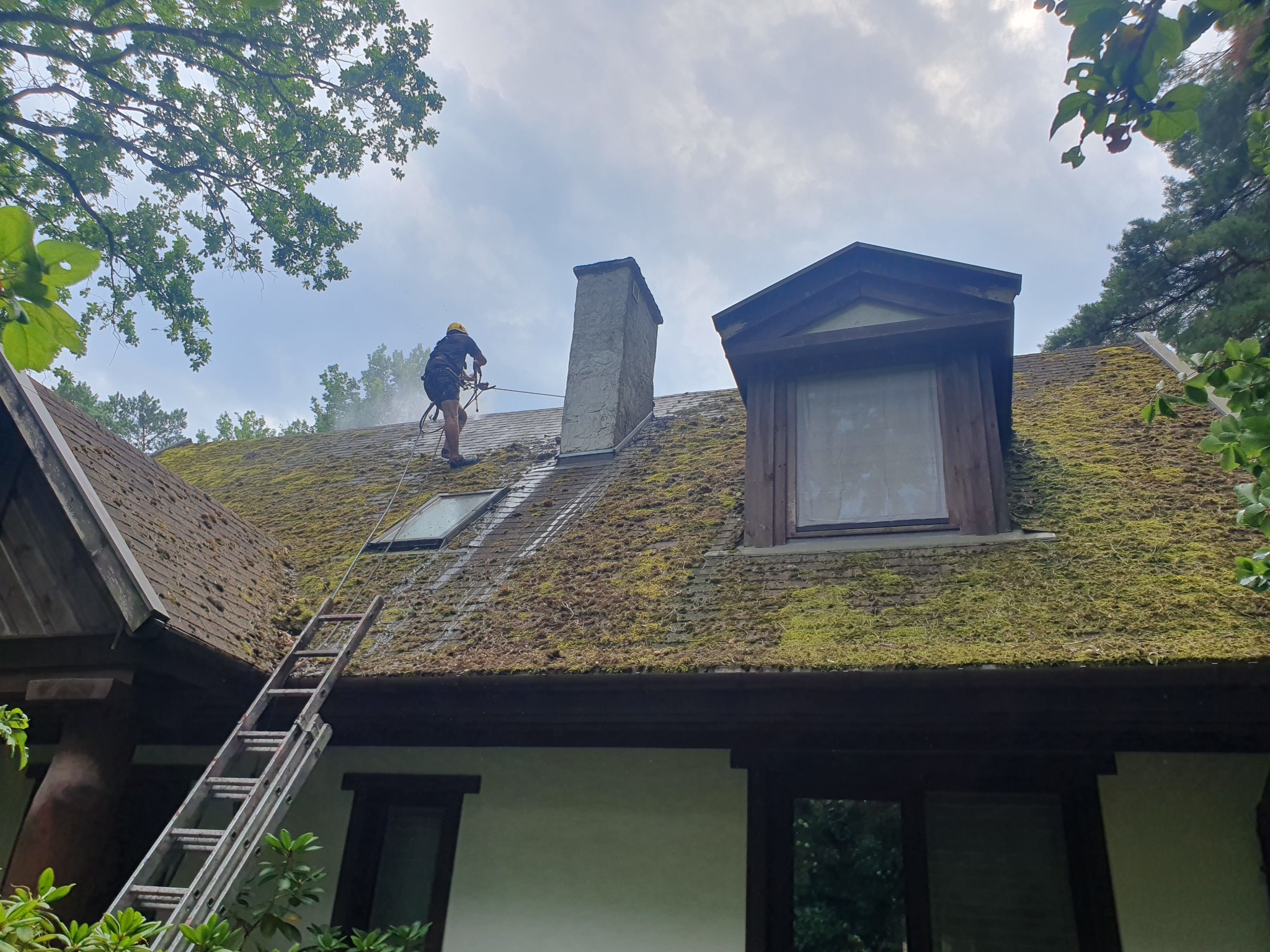 Pracownik w żółtym kasku, zabezpieczony linami, spryskuje dach pokryty mchem wodą pod ciśnieniem, z drabiny oparta o ścianę budynku.
