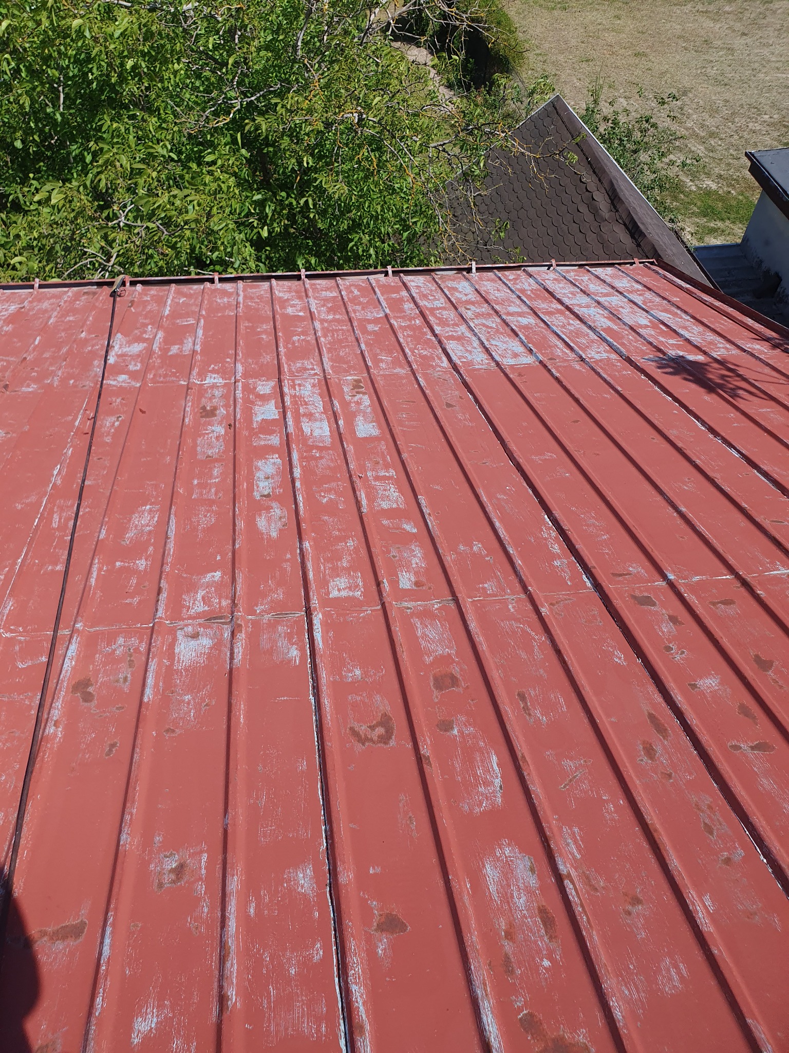 Czerwony dach z blachy trapezowej z widocznymi śladami rdzy i łuszczącej się farby, na tle zielonych drzew i fragmentu sąsiedniego dachu pokrytego gontem bitumicznym.