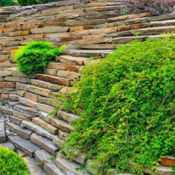 Ihor Kuleshov landscape - Kamienne schody tarasowe w ogrodzie z różnorodną roślinnością, w tym płożącą, krzewami i drzewami iglastymi.
