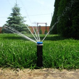 Projektowanie ogrodów Kraków 2