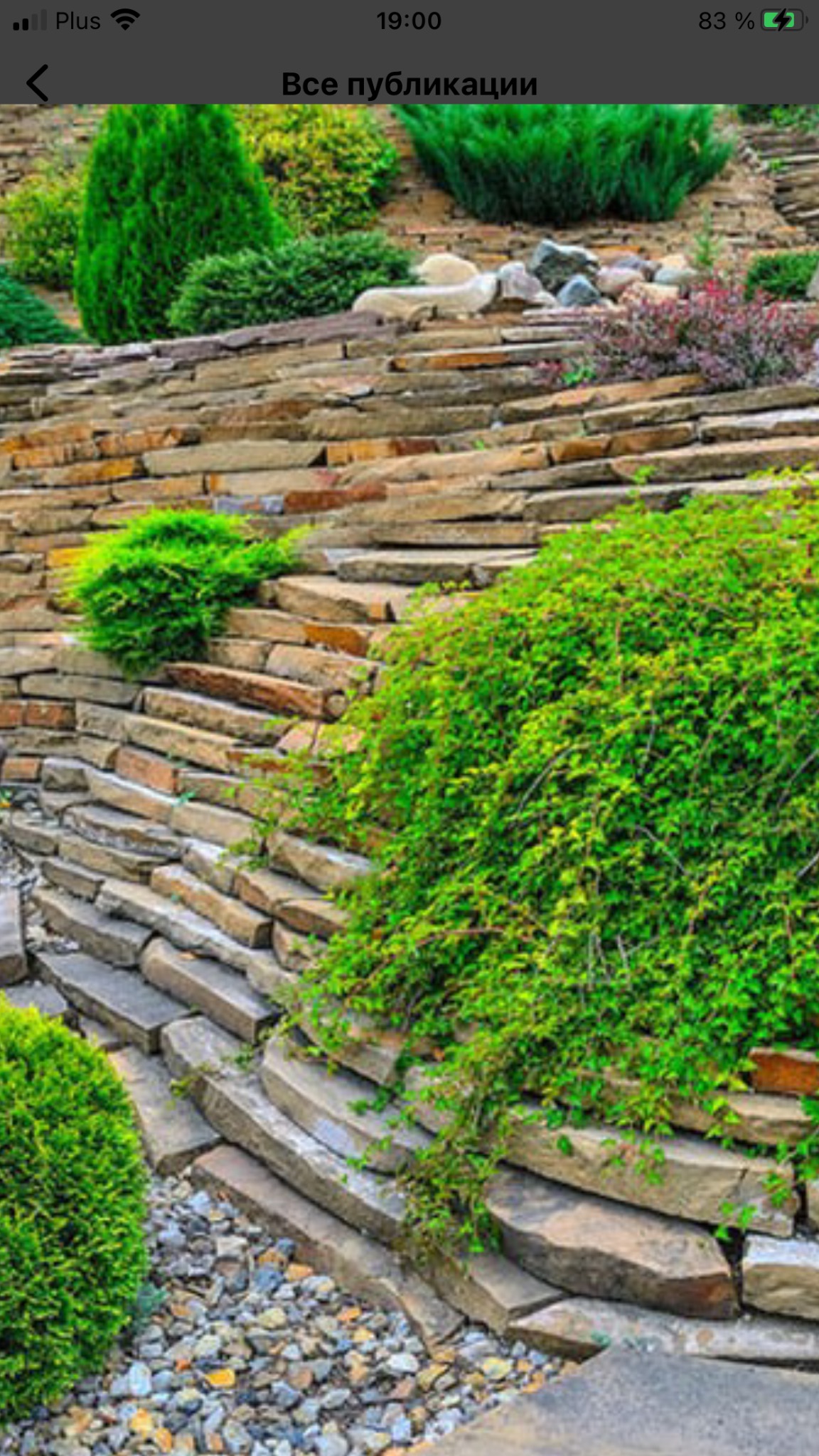 Kamienne schody tarasowe w ogrodzie z różnorodną roślinnością, w tym płożącą, krzewami i drzewami iglastymi.