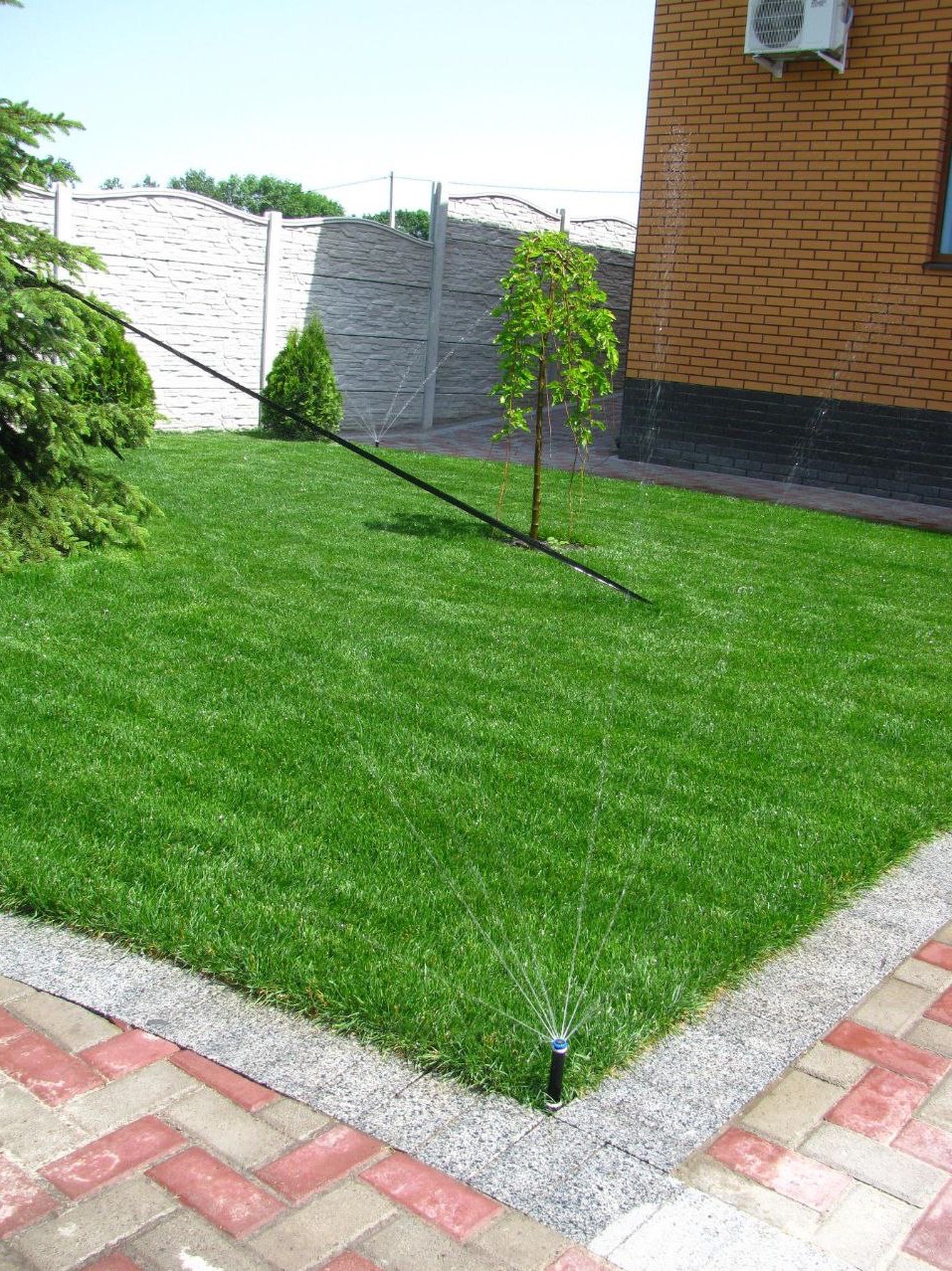 Trawnik i system nawodniania