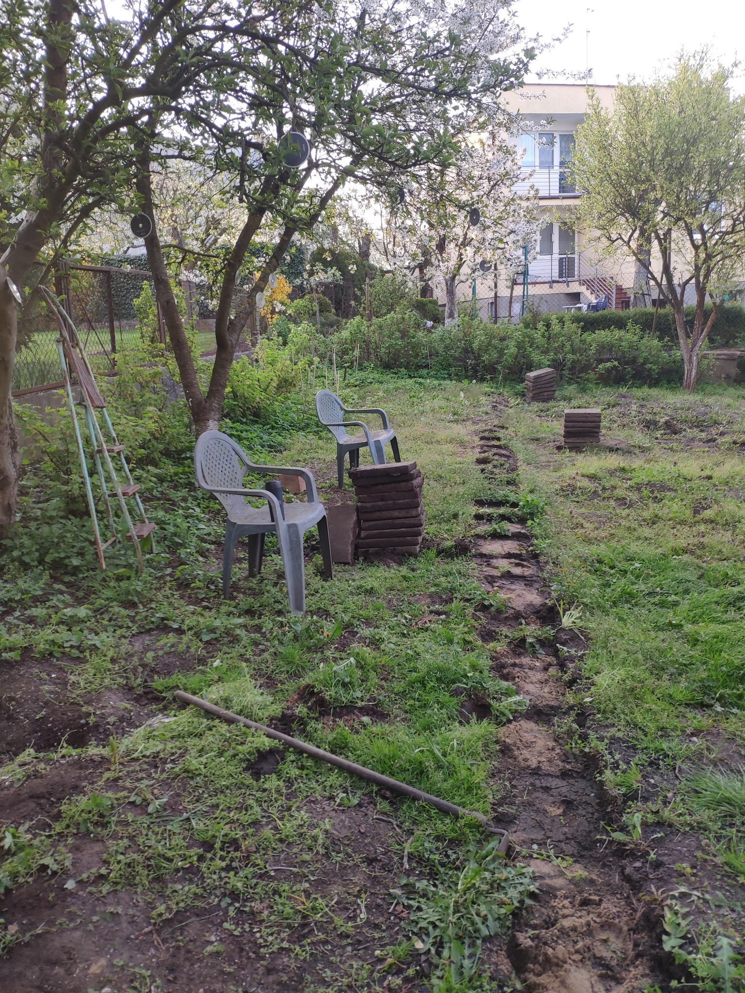 Przygotowanie pod ścieżkę z płyt betonowych w zaniedbanym ogrodzie: wykopany rów, ułożone płyty w stosach, stare krzesła ogrodowe i drabina oparta o drzewo.