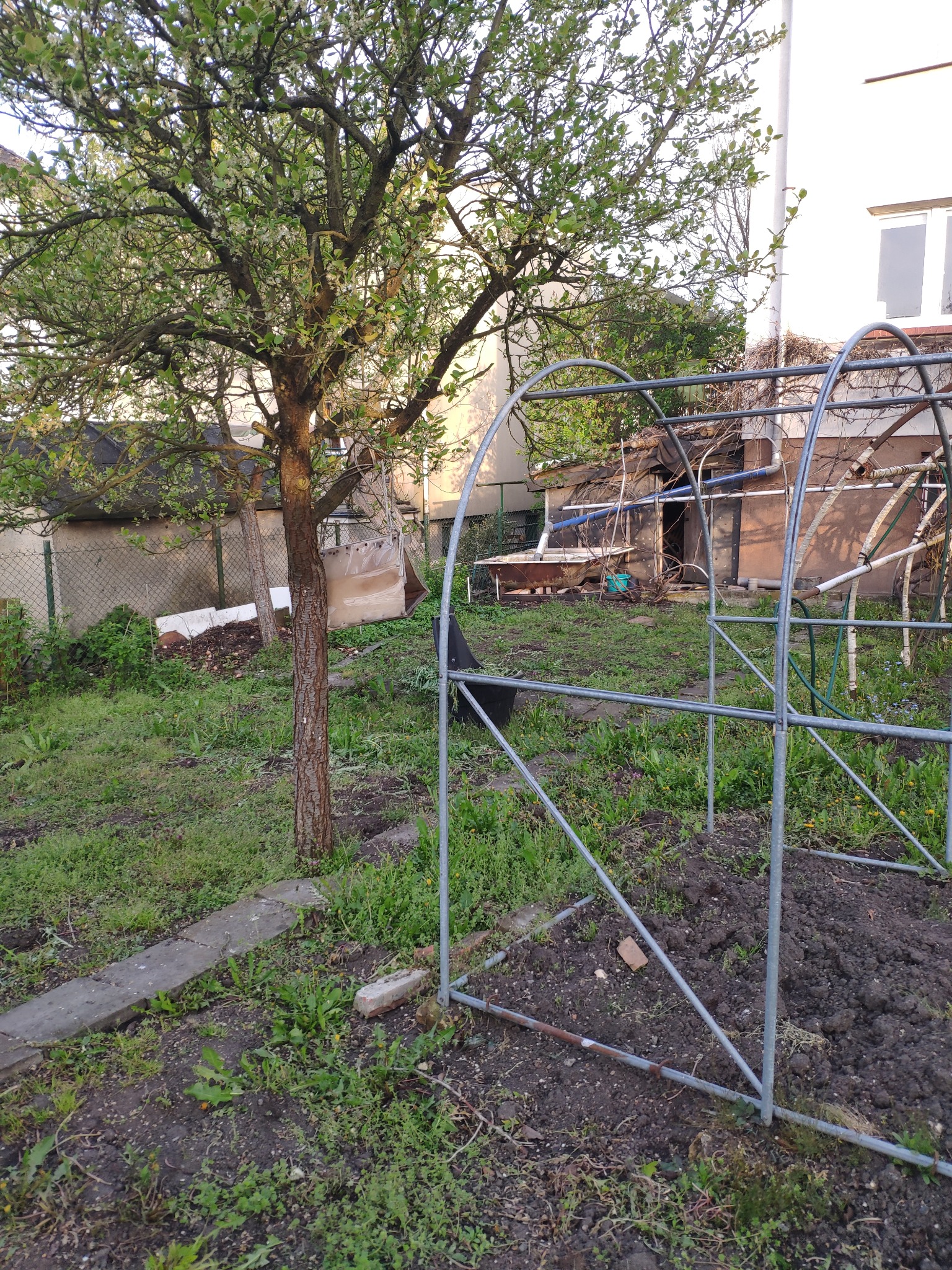 Metalowa konstrukcja szklarni w ogrodzie z drzewem owocowym w tle, widoczne przygotowane grządki i elementy wyposażenia ogrodu.