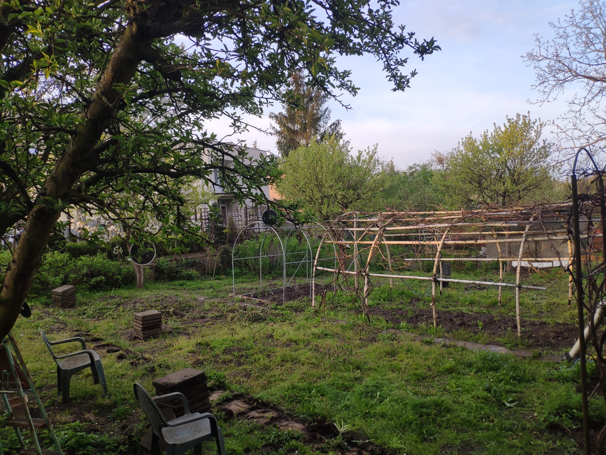 Ogród z metalową konstrukcją pod uprawy, widoczne przygotowane grządki, stosy kostki brukowej i plastikowe krzesła, w tle dom i drzewa.