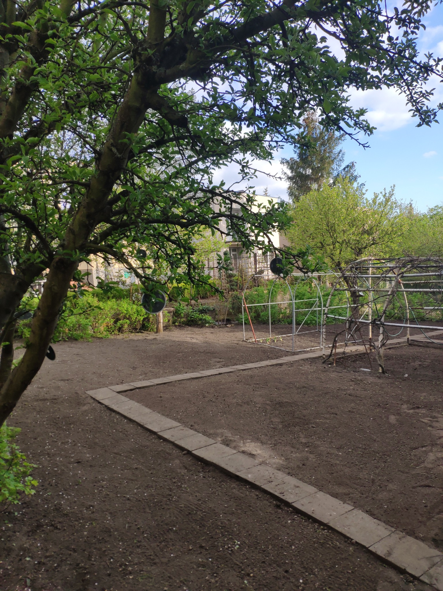 Przygotowany teren pod uprawy z widocznymi obrzeżami z kostki, metalową konstrukcją szklarni i drzewem z odblaskami na gałęziach.