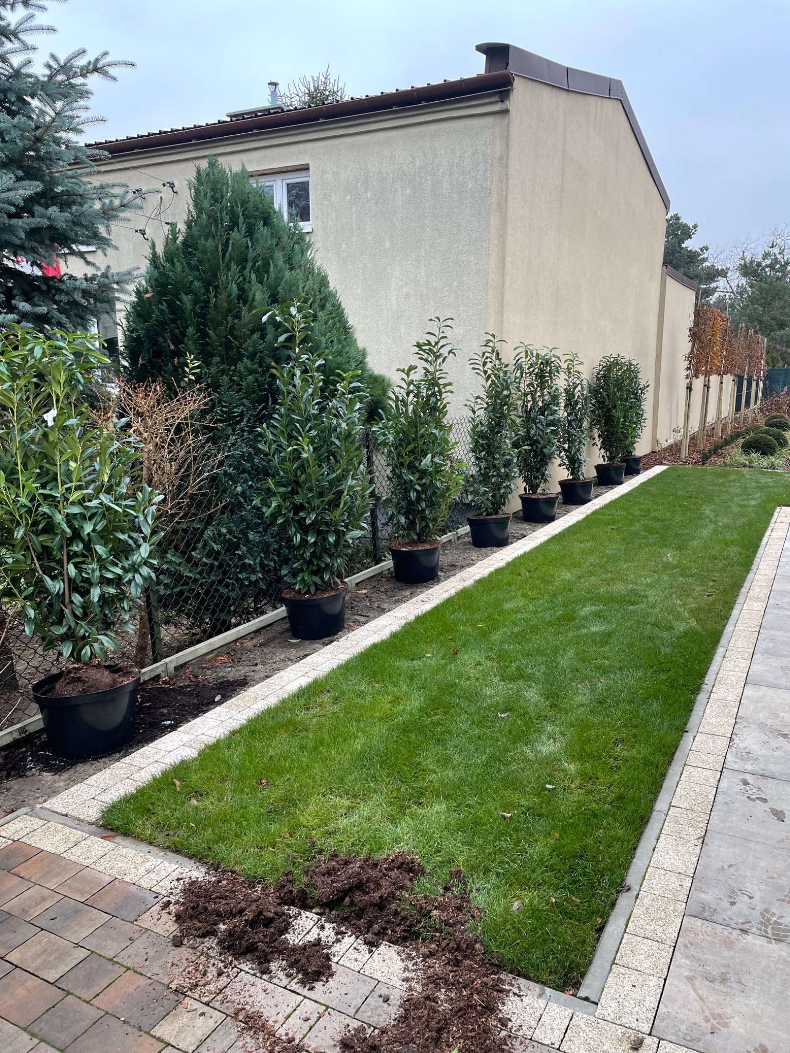 Równy trawnik z rolki obramowany kostką, wzdłuż ogrodzenia ustawione donice z krzewami, przygotowane miejsce na posadzenie sadzonek.