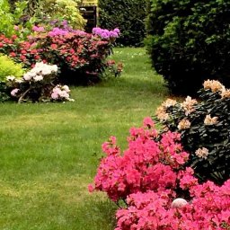 Pielęgnacja ogrodów Bielsko-Biała 3