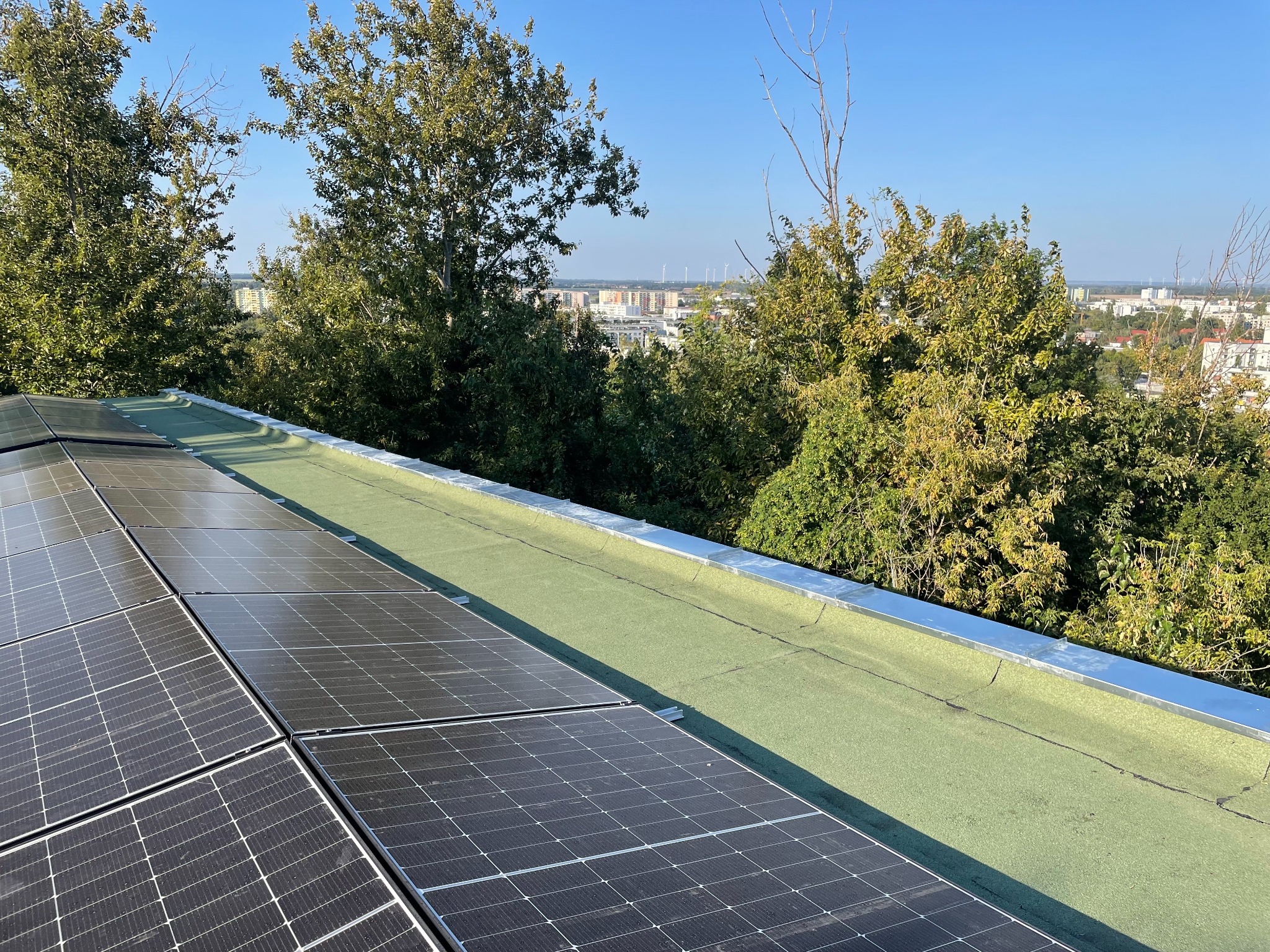 Panel słoneczny na zielonym dachu z widokiem na miasto w oddali, otoczony drzewami w słoneczny dzień.