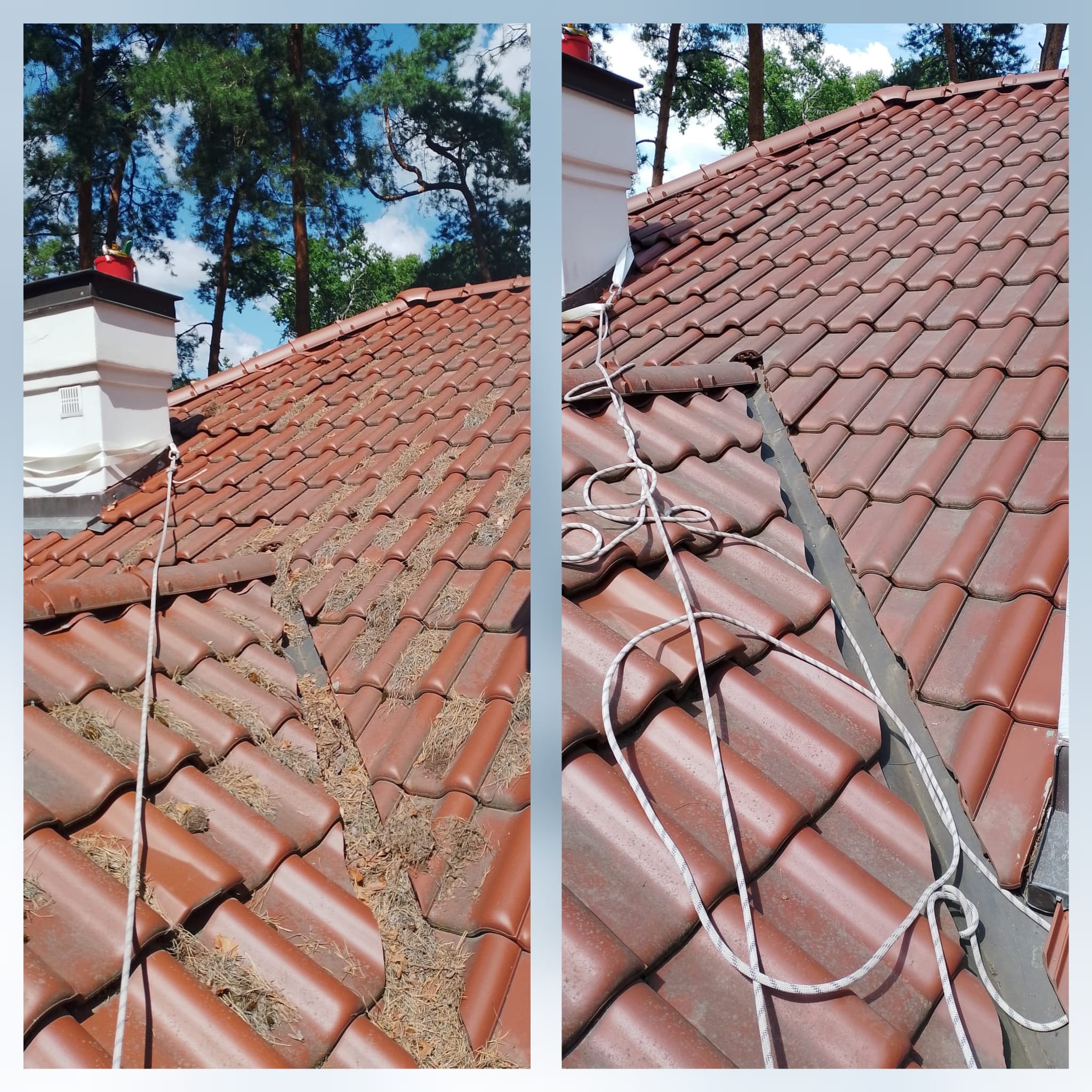 Czyszczenie dachu z igliwia