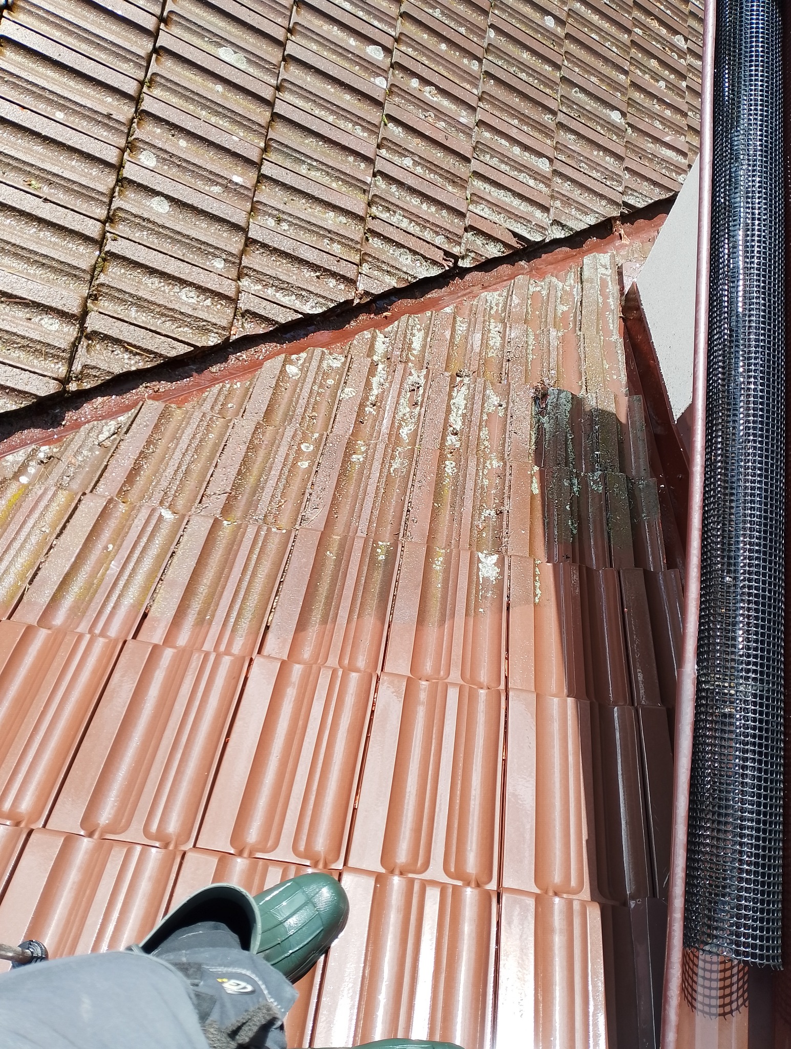 Częściowo umyta dachówka ceramiczna w odcieniach brązu, z widoczną różnicą między czystą a zabrudzoną powierzchnią, fragment buta pracownika w dolnym rogu.