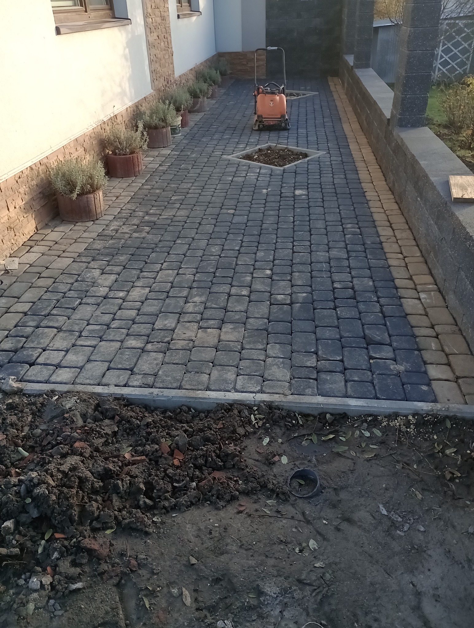 Ułożona ścieżka z ciemnoszarej kostki brukowej z jaśniejszym obramowaniem, z kwadratowymi wstawkami wypełnionymi ziemią pod rośliny, ubijarka wibracyjna w tle, donice z roślinami wzdłuż ściany...