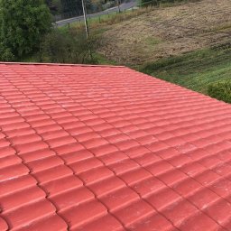 Malowanie dachów Tychy 3