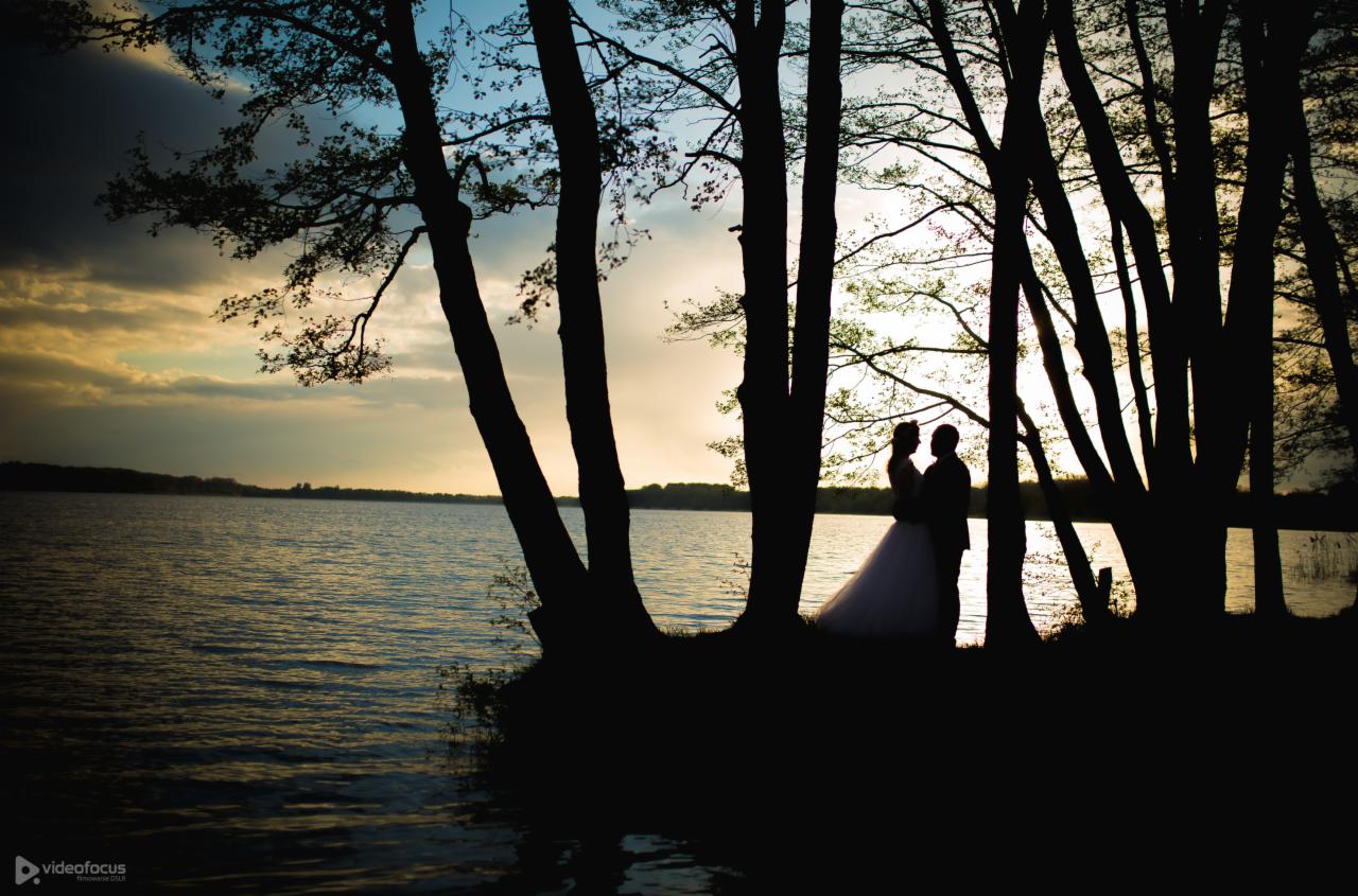 Siluety nowożeńców na brzegu jeziora o zachodzie słońca, widoczne przez pnie drzew.