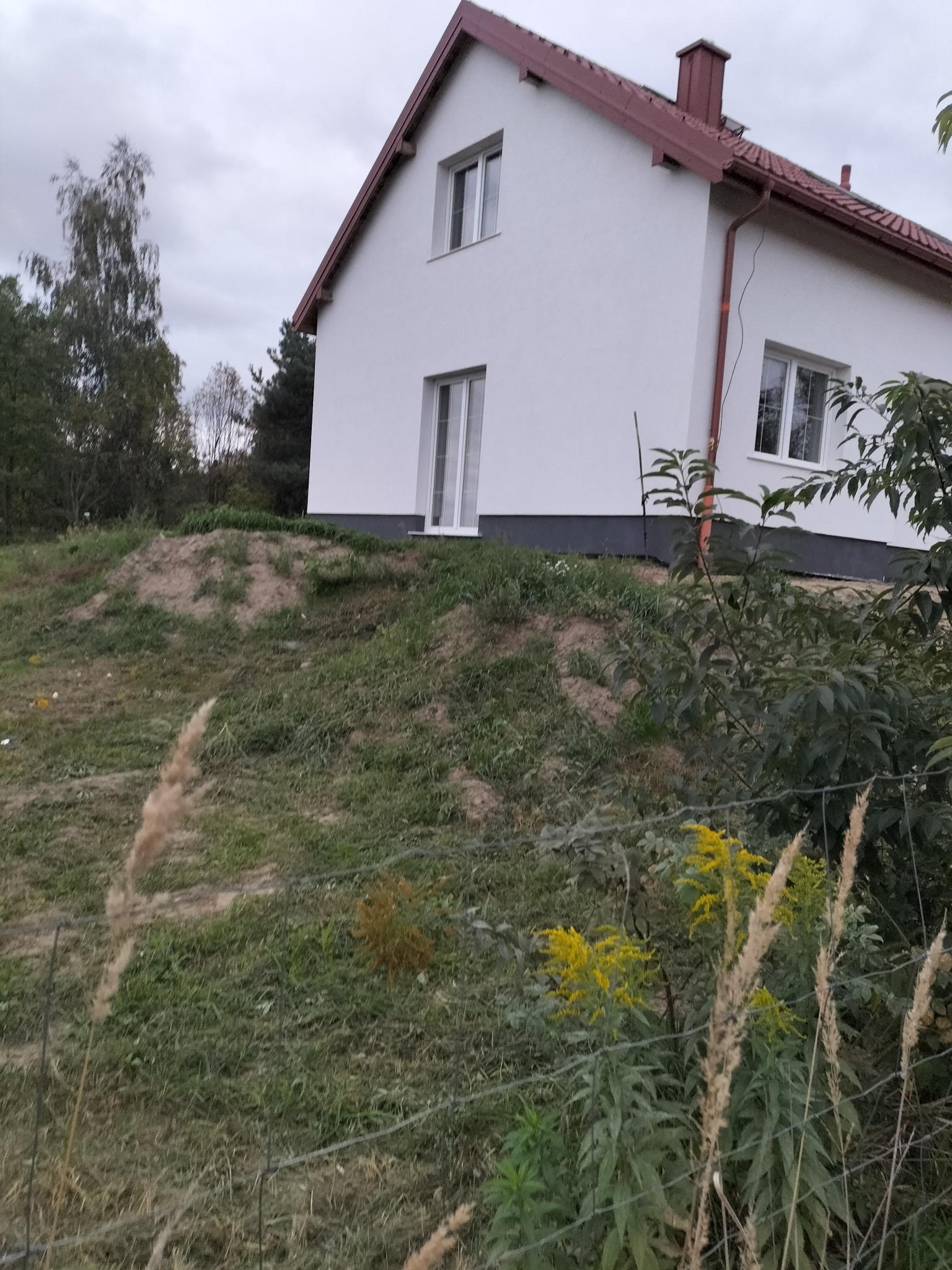 Biały dom jednorodzinny z brązowym dachem, widziany z dołu, na tle pochmurnego nieba i zieleni. Widoczne okna i rynny. Dom po remoncie elewacji.