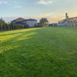 Rozległy trawnik z widocznymi śladami koszenia, w tle budynek mieszkalny, rząd młodych drzew iglastych i szklarnia o konstrukcji stalowej, oświetlone zachodzącym słońcem.