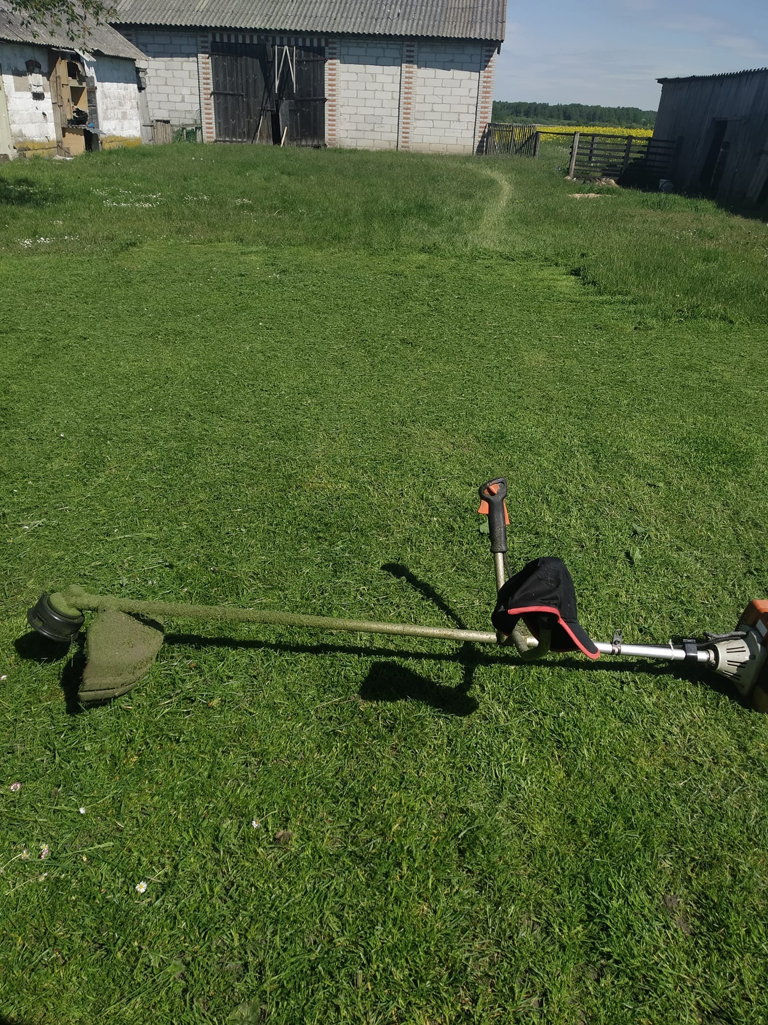 Spalinowa kosa do trawy leży na świeżo skoszonej trawie przed budynkiem gospodarczym, widoczny ślad po koszeniu.